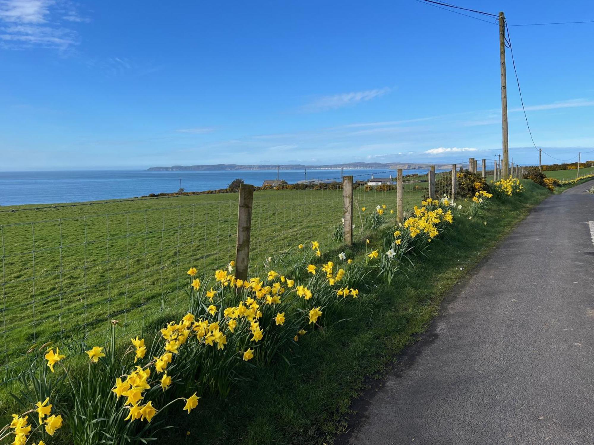 Tornaroan Cottage Ballycastle Esterno foto