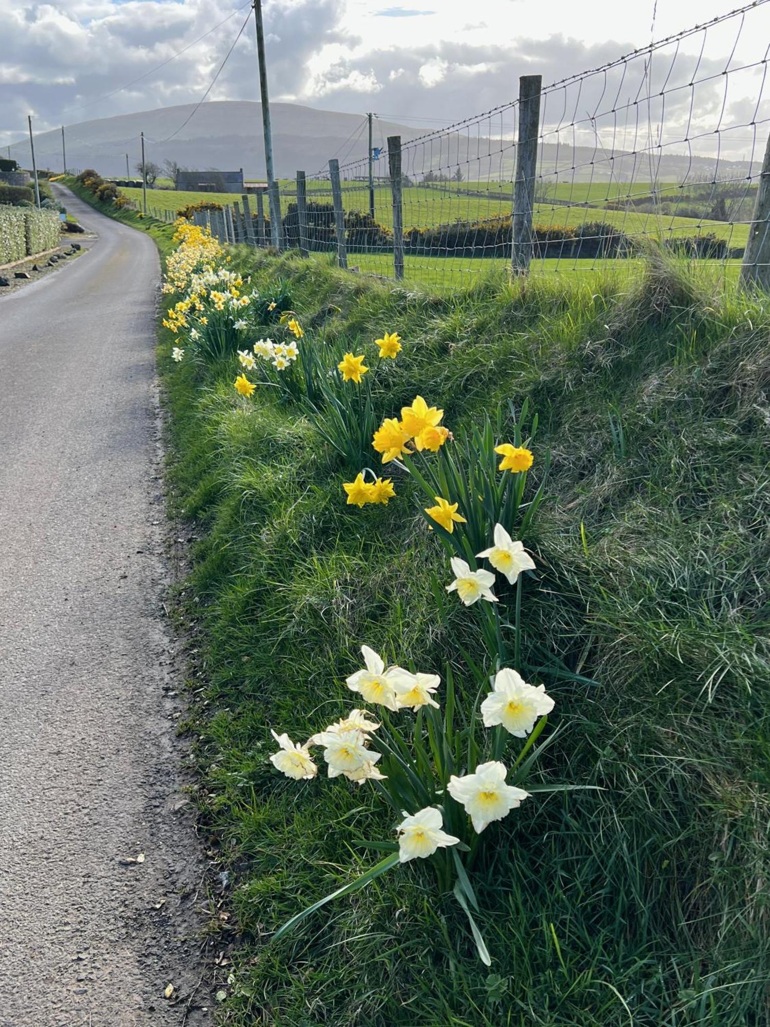 Tornaroan Cottage Ballycastle Esterno foto